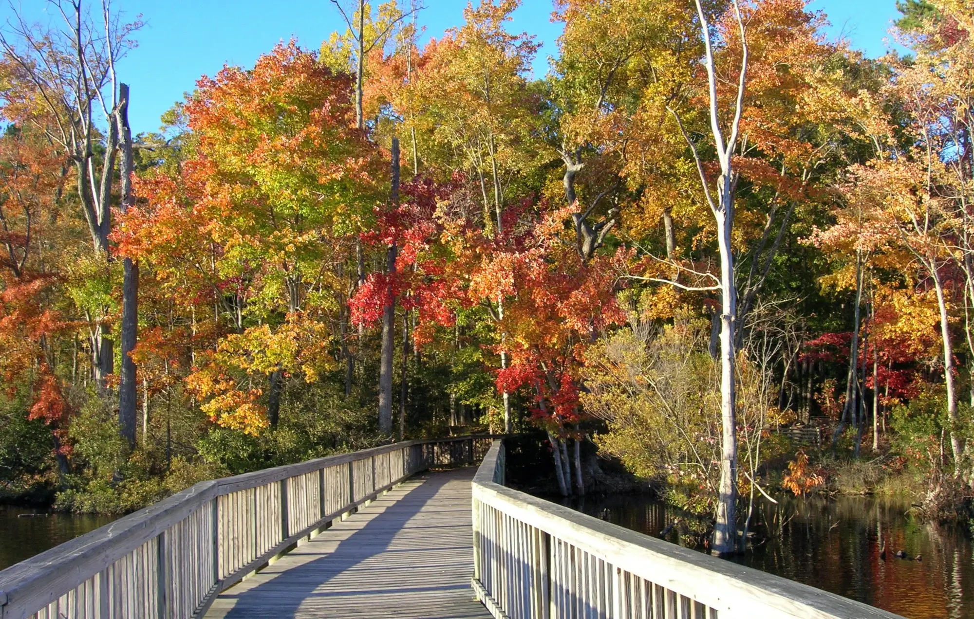 Falls Church Property Management